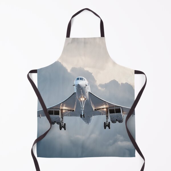 Item preview, Concorde Gliding to Touchdown designed and sold by Skyframe Aviation.