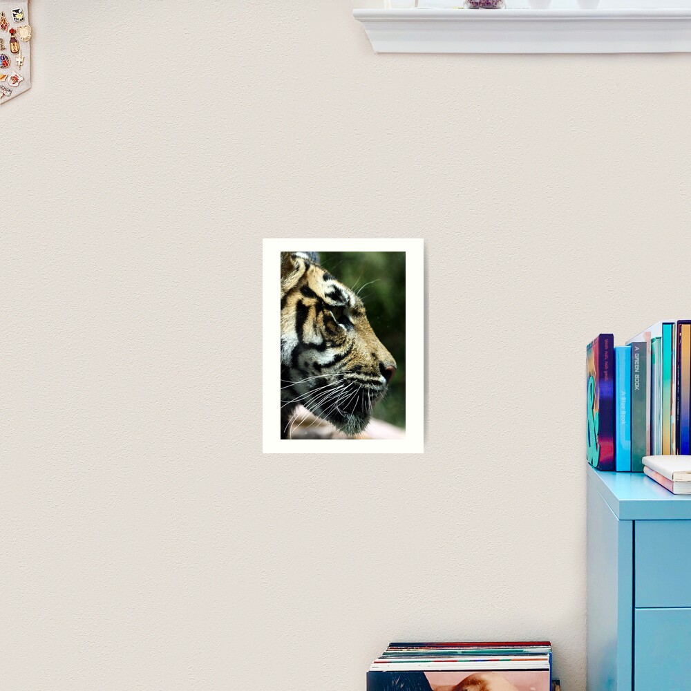 Watching Art Print