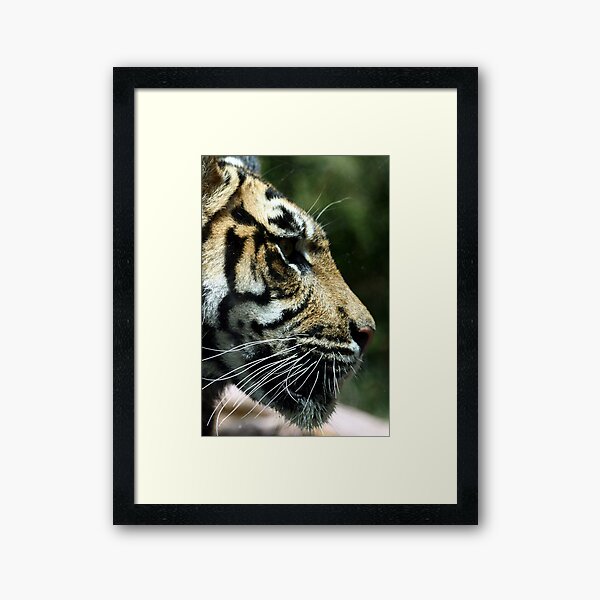 Watching Framed Art Print