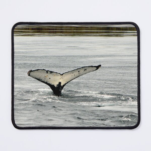 Item preview, humpback whale tail sighting designed and sold by danielasynner.