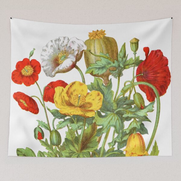 Item preview, Vintage Botanical Print - Papaveraceæ, The Poppy Tribe from The Natural Order of Plants (1868) designed and sold by Douglas E. Welch Design and Photography.