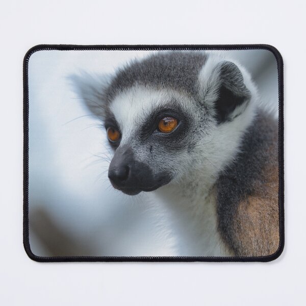 Item preview, Ring Tailed Lemur Portrait with Orange Eyes designed and sold by RastislavS.
