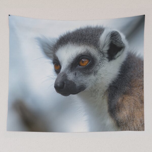 Item preview, Ring Tailed Lemur Portrait with Orange Eyes designed and sold by RastislavS.