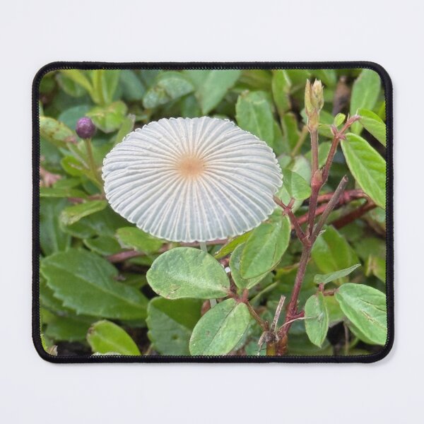 Item preview, Lonely Shroomie  designed and sold by HydrangeaDelMar.