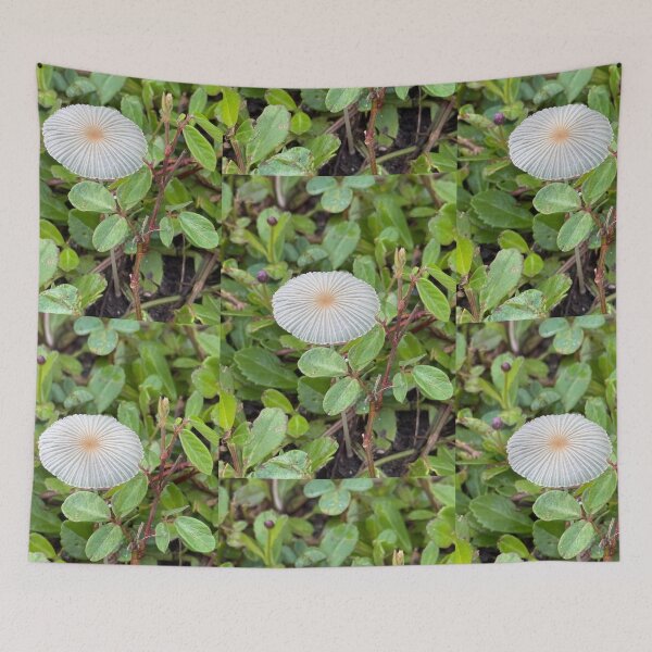 Item preview, Lonely Shroomie  designed and sold by HydrangeaDelMar.