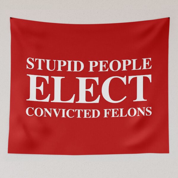 Item preview, Stupid People Elect Convicted FELONS designed and sold by Thelittlelord.