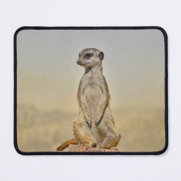 Item preview, Standing Meerkat on Log – Wildlife Portrait designed and sold by RastislavS.