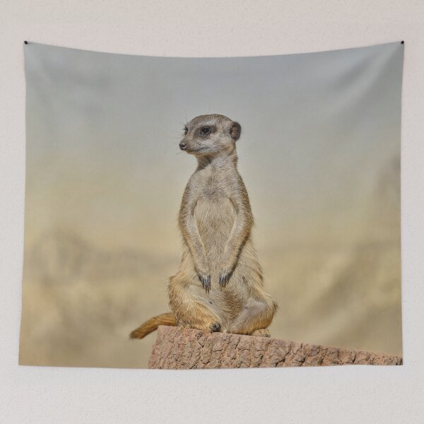Aperçu de l'œuvre Suricate debout sur une bûche – Portrait animalier créée et vendue par RastislavS.