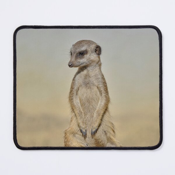 Item preview, Standing Meerkat on Log – Wildlife Portrait designed and sold by RastislavS.
