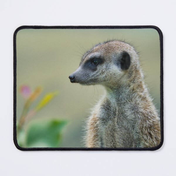Item preview, Meerkat Close-Up Wildlife Portrait designed and sold by RastislavS.