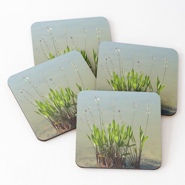 Item preview, Flowers in the Sea designed and sold by HydrangeaDelMar.