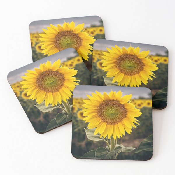 Item preview, Sunflower Close-Up in Blooming Field designed and sold by RastislavS.