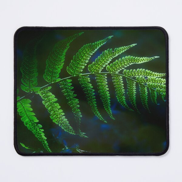 Item preview, Fern Leaf Illuminated Against Dark Background designed and sold by RastislavS.