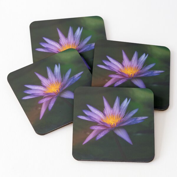 Item preview, Violet Water Lily with Golden Center designed and sold by RastislavS.