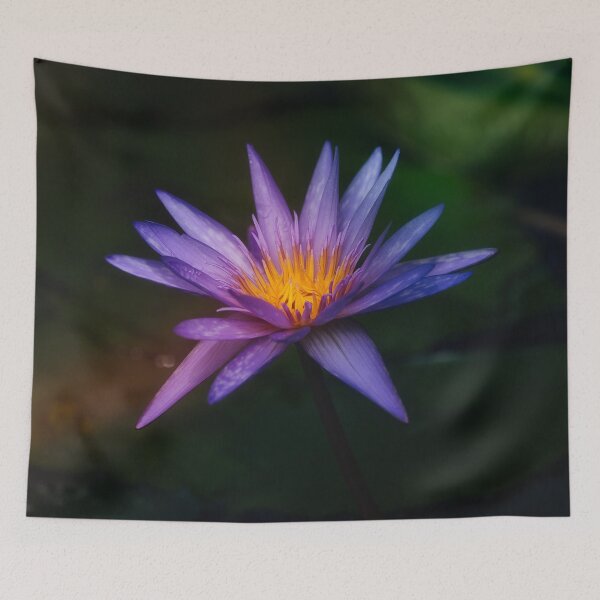 Item preview, Violet Water Lily with Golden Center designed and sold by RastislavS.