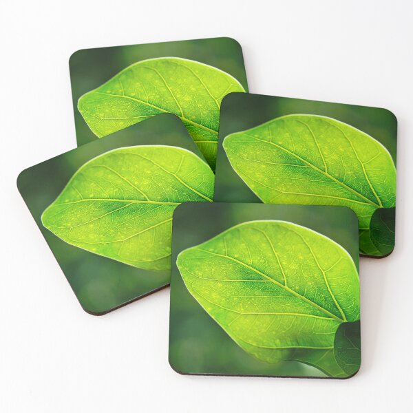 Item preview, Green Leaf Macro with Vein Detail designed and sold by RastislavS.