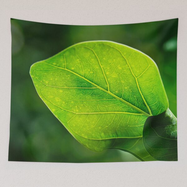 Item preview, Green Leaf Macro with Vein Detail designed and sold by RastislavS.