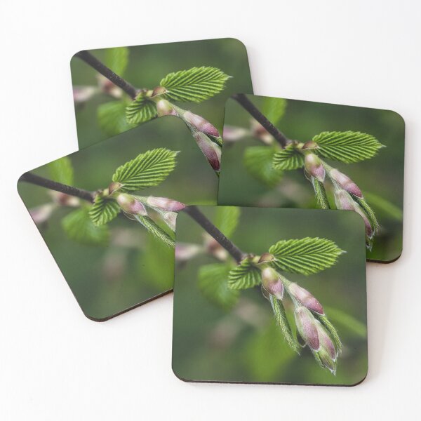 Item preview, Blooming Branch with Fresh Green Buds designed and sold by RastislavS.