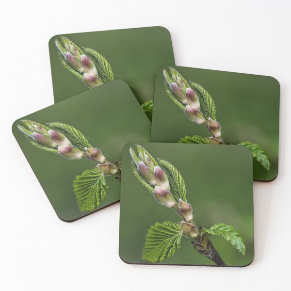 Item preview, Blooming Branch with Fresh Green Buds designed and sold by RastislavS.