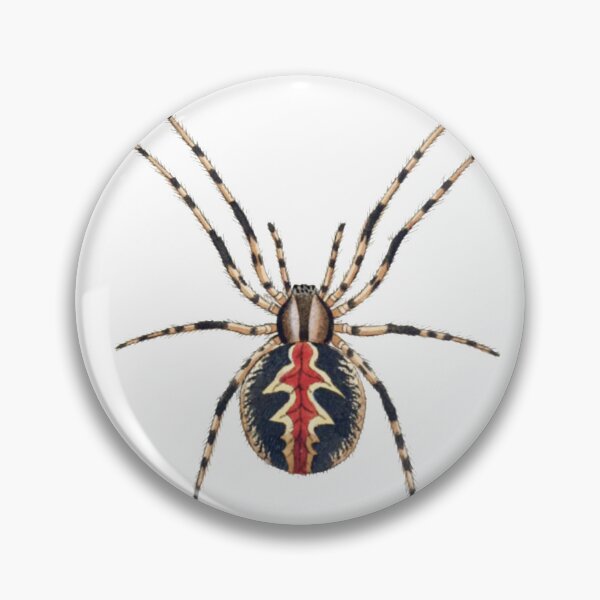 Item preview, Vintage Spider Illustration designed and sold by HawthorneFlame.