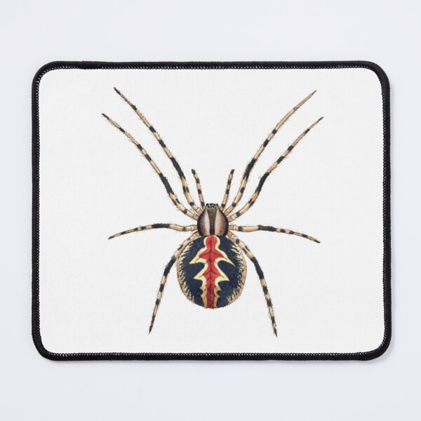 Item preview, Vintage Spider Illustration designed and sold by HawthorneFlame.