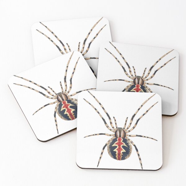 Item preview, Vintage Spider Illustration designed and sold by HawthorneFlame.