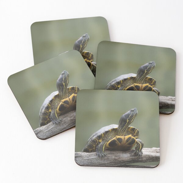 Item preview, Turtle on Log with Raised Neck – Nature Wildlife designed and sold by RastislavS.