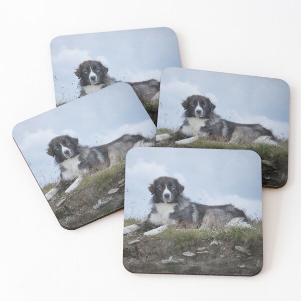 Item preview, Romanian Shepherd Dog Resting in the Mountains – Transalpina designed and sold by RastislavS.