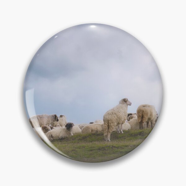 Item preview, Sheep Grazing in the Carpathian Mountains – Transalpina Romania designed and sold by RastislavS.