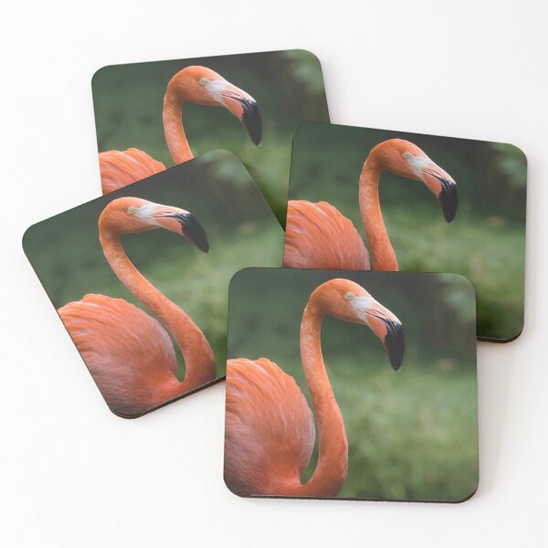Item preview, Elegant Flamingo Portrait – Exotic Bird Close-Up designed and sold by RastislavS.