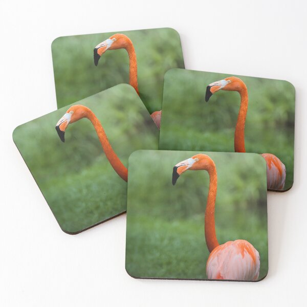 Item preview, Flamingo Standing Tall – Elegant Exotic Bird designed and sold by RastislavS.