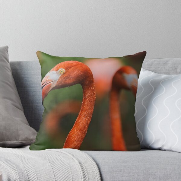 Item preview, Flamingo Portrait – Exotic Bird Close-Up designed and sold by RastislavS.