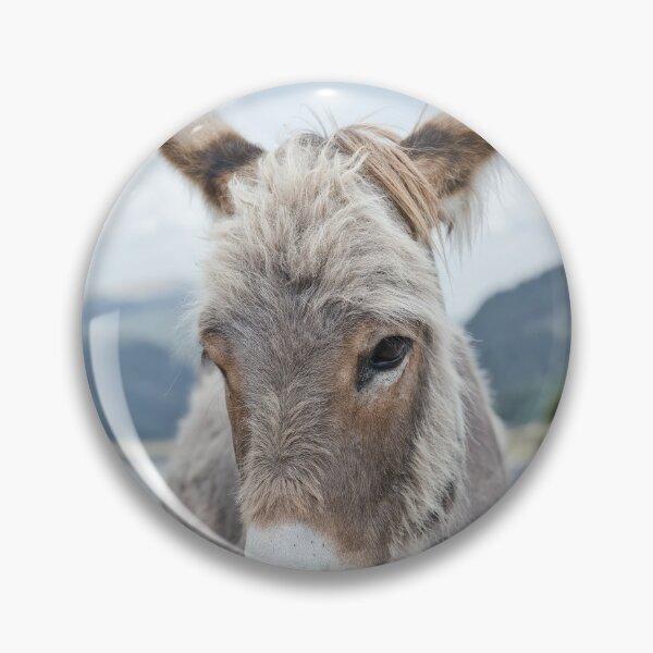 Item preview, Donkey Portrait – Transalpina Romania designed and sold by RastislavS.