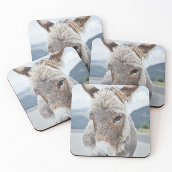 Item preview, Donkey Portrait – Transalpina Romania designed and sold by RastislavS.