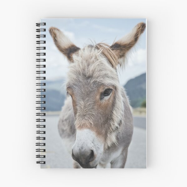 Item preview, Retrato de burro – Transalpina Rumanía designed and sold by RastislavS.