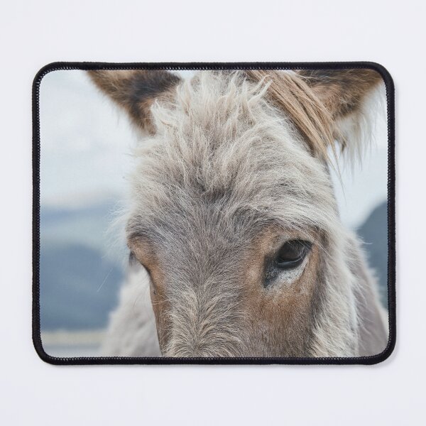 Item preview, Donkey Portrait – Transalpina Romania designed and sold by RastislavS.