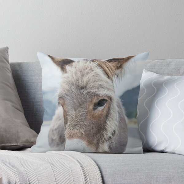 Item preview, Donkey Portrait – Transalpina Romania designed and sold by RastislavS.