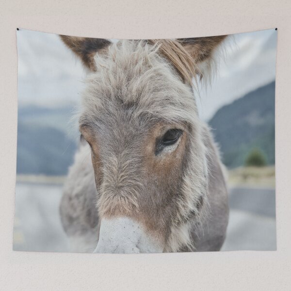 Item preview, Donkey Portrait – Transalpina Romania designed and sold by RastislavS.