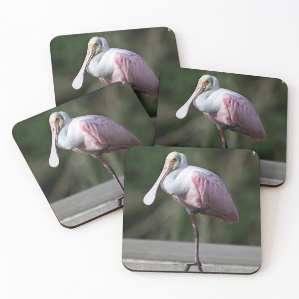 Item preview, Roseate Spoonbill  designed and sold by Glennphotos.