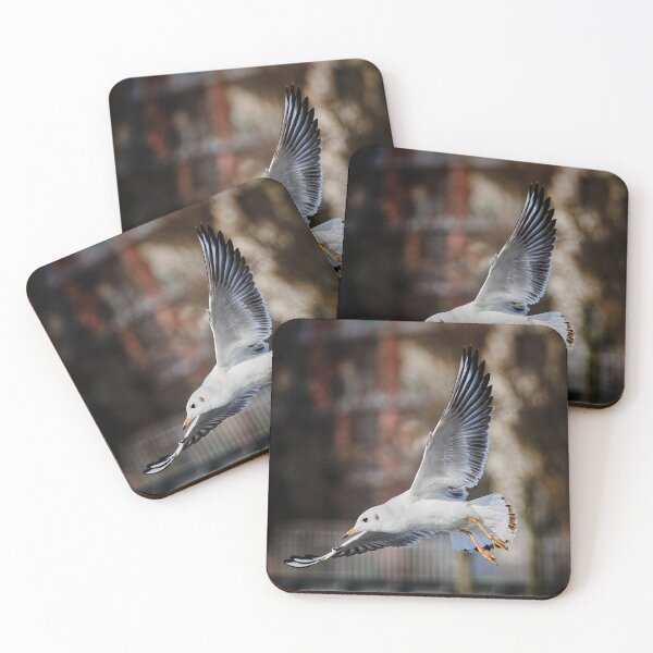 Item preview, Seagull in Flight – Graceful Wings designed and sold by RastislavS.