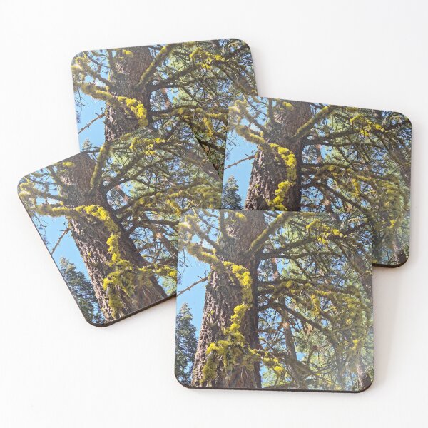 Item preview, Nature's Artistry designed and sold by Betsy Phillips.
