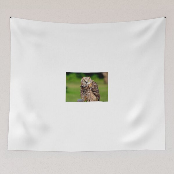 Item preview, Juvenile Great Horned Owl designed and sold by Larry Trupp.