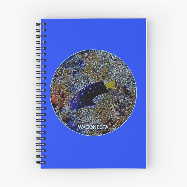 Item preview, Underwater - Damselfish in Bonaire by Wagonesta  designed and sold by Wagonesta.