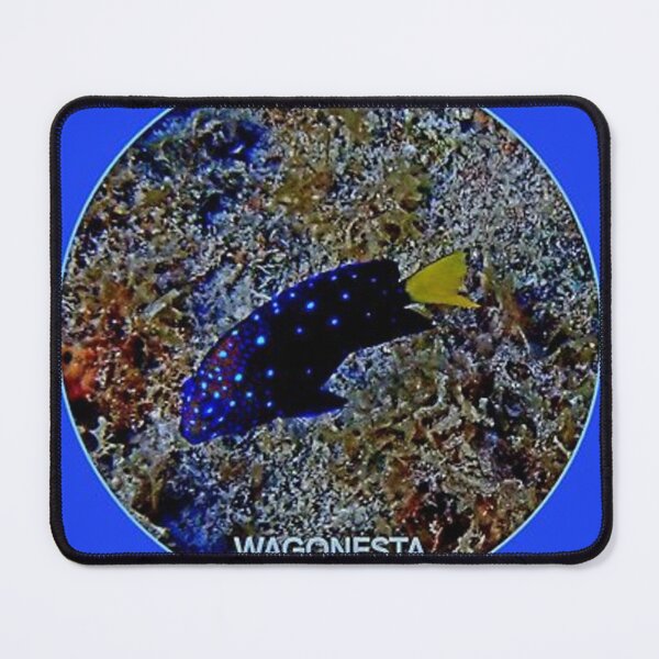 Item preview, Underwater - Damselfish in Bonaire by Wagonesta  designed and sold by Wagonesta.