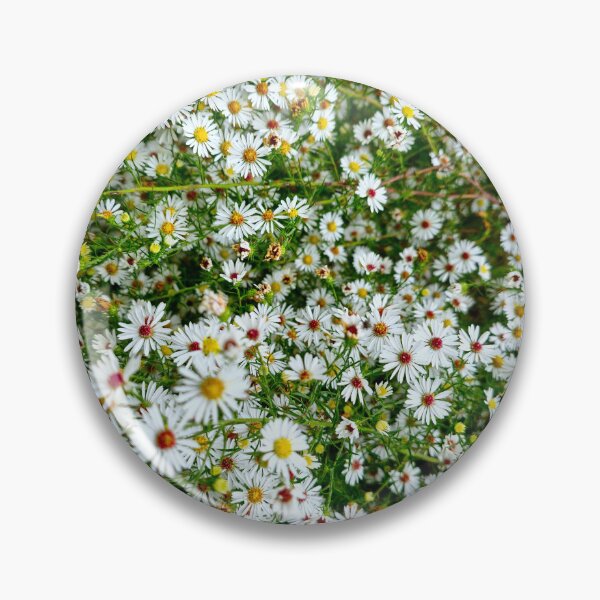 Item preview, White Aster in Bloom designed and sold by bjtomiko.