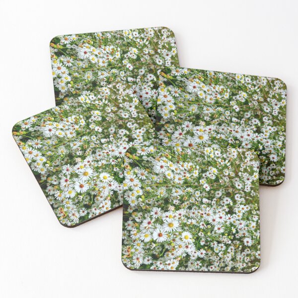 Item preview, White Aster in Bloom designed and sold by bjtomiko.