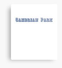 Cambrian Park Metal Print