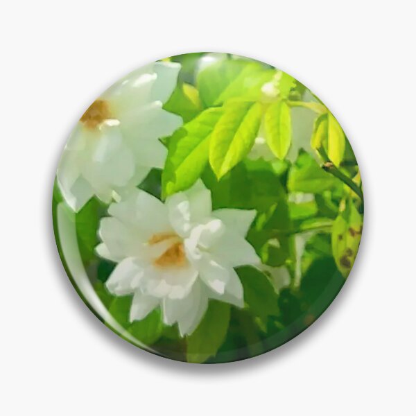 Item preview, Pure White Garden Roses designed and sold by Exodoi.