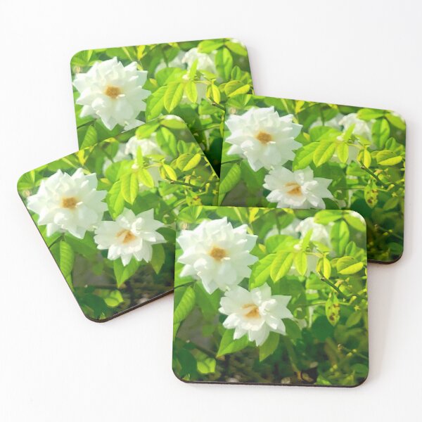 Item preview, Pure White Garden Roses designed and sold by Exodoi.