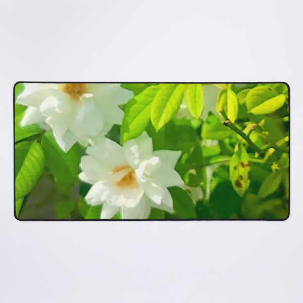 Item preview, Pure White Garden Roses designed and sold by Exodoi.